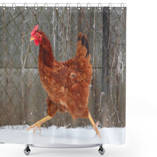 Personality  Running Hen In Winter Shower Curtains