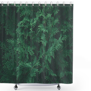 Personality  Close-up View Of Beautiful Green Cypress Tree Twigs Shower Curtains
