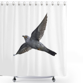 Personality  Common Cuckoo In It Natural Habitat In Denmark Shower Curtains