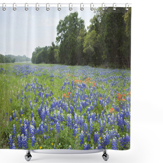 Personality  Bluebonnets And Indian Paintbrush Flowers Along Texas Hill Count Shower Curtains