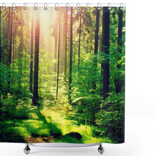 Personality  Spring Sunset In Deep Green Forest Shower Curtains