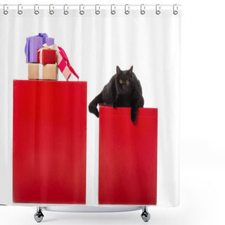 Personality  Cute Black British Shorthair Cat Laying On Red Cube Near Gift Boxes Isolated On White Background  Shower Curtains
