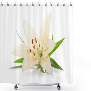 Personality  White Lily Shower Curtains