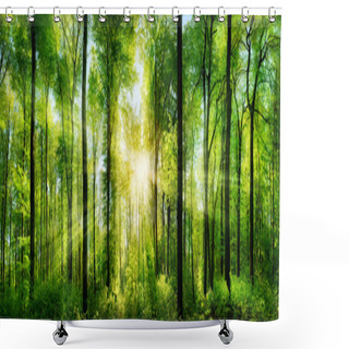 Personality  Forest Panorama With Rays Of Sunlight Shower Curtains