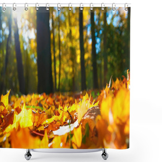 Personality  Autumn Leaves Shower Curtains