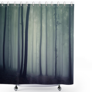 Personality  Silhouettes Of Trees In A Dark Forest With Fog Shower Curtains
