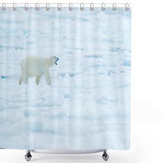 Personality  Polar Bear On Drift Ice Edge With Snow And Water In Russian Sea. White Animal In The Nature Habitat, Europe. Wildlife Scene From Nature. Dangerous Bear Walking On The Ice, Beautiful Evening Sky. Shower Curtains