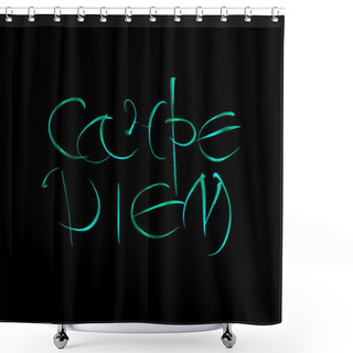 Personality  Carpe Diem. Latin Translation Seize The Moment. Hand-lettering Calligraphy. Shower Curtains