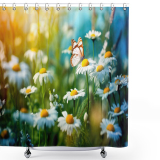 Personality  Daisy Flowers And Butterfly In Morning Spring Shower Curtains