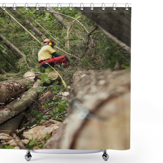 Personality  Forestry Worker Trimming Branches And Measuring Cut Down Spruce Tree Shower Curtains