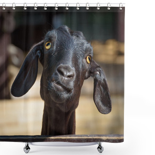 Personality  Black Goat Closeup Shower Curtains