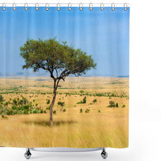 Personality  Landscape With Nobody Tree In Africa Shower Curtains