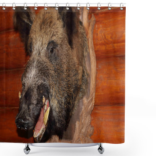 Personality  Closeup Of Stuffed Wild Boar Head With Fangs Hanging On Wooden W Shower Curtains