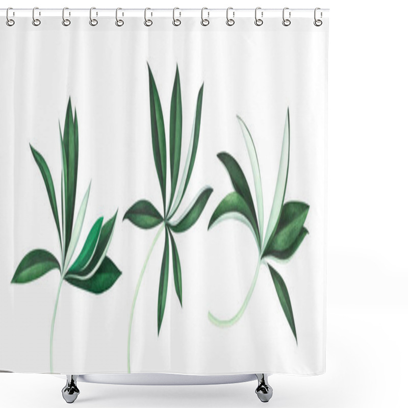 Personality  Set Of Lupine Leaves Isolated On White Background. Watercolor Illustration. Shower Curtains