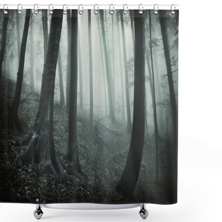Personality  Dark Landscape From A Forest With Black Trees And Fog Shower Curtains