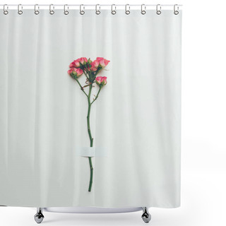 Personality  Beautiful Tender Pink Roses On Twig Isolated On Grey Shower Curtains
