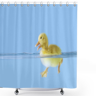 Personality  Cute Duck Swiming On Water Shower Curtains
