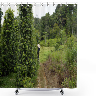 Personality  Peppery Plantations Of Borneo. Shower Curtains