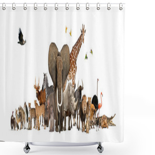 Personality  Large Group Of African Fauna, Safari Wildlife Animals Together, In A Row, Isolated Shower Curtains