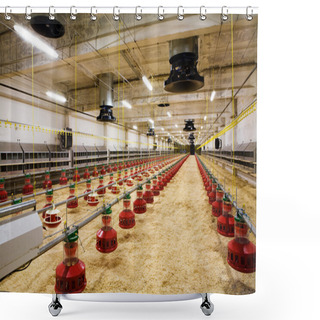 Personality  Poultry Farm Shower Curtains