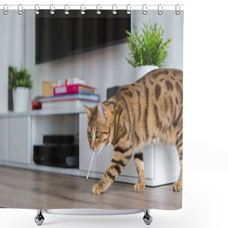 Personality  Comely Bengal Cat Playing With Cotton Swab In The House Shower Curtains