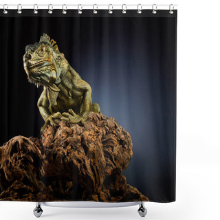 Personality  A Green Iguana On A Tree Branch. Shower Curtains