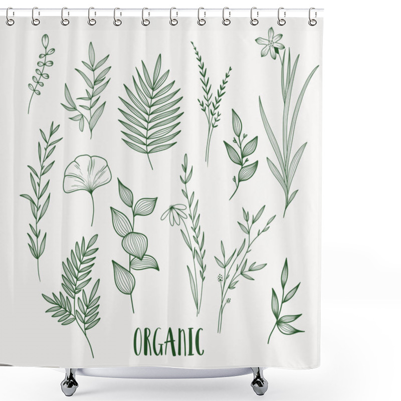 Personality  Plant nature hand drawn set. Collection botanical element. shower curtains