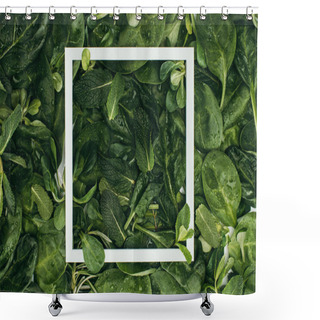 Personality  Square White Frame And Beautiful Fresh Green Leaves With Dew Drops, Floral Background Shower Curtains