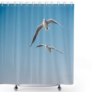 Personality  Seagulls Flying In Sky Background Shower Curtains