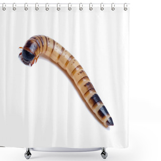 Personality  Mealworm On White Shower Curtains