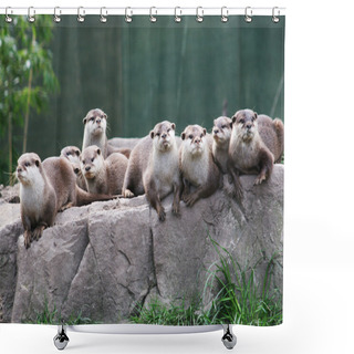 Personality  Otter Family Shower Curtains