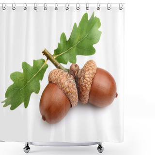 Personality  Dried Acorns With Leaves Shower Curtains