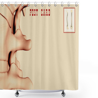 Personality  Postcard For Chiropractic Shower Curtains