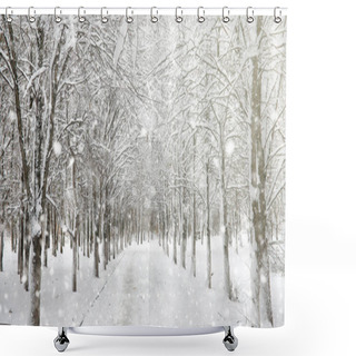 Personality  Winter Park Under The Snow. A Snowstorm In The City Park. Park F Shower Curtains