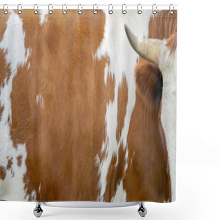 Personality  Brown Cow Skin Texture. Agriculture. Smooth Surface Shower Curtains