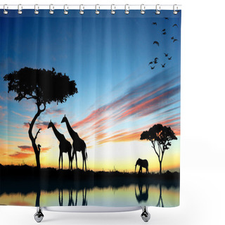 Personality  Safari In Africa. Silhouette Of Wild Animals Reflection In Water Shower Curtains