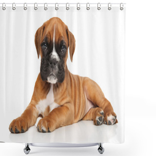 Personality  German Boxer Puppy Shower Curtains