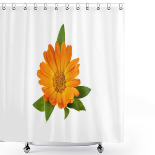 Personality  Calendula Officinalis Flower Isolated On White Background. Yellow Marigold Flower Blossom And Leaf For Design. Shower Curtains