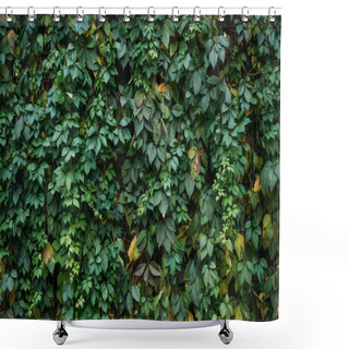 Personality  Green Leaves Shower Curtains