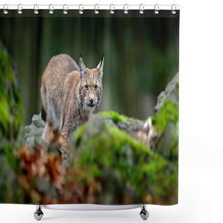 Personality  Lynx Standing On Stone Shower Curtains
