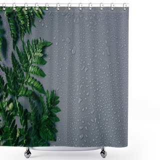 Personality  Flat Lay With Arrangement Of Green Fern Plants With Water Drops On Grey Backdrop Shower Curtains