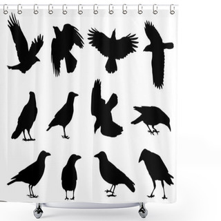 Personality  Crow Silhouettes Shower Curtains