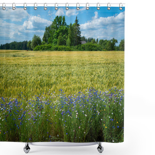 Personality  Blue Flowers Cornflowers In The Garden. Cornflower In The Flowerbed. Summer Blue Wildflower. Cornflowers. Shower Curtains