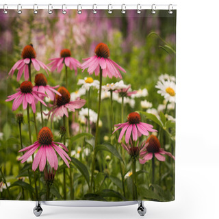 Personality  Pink And White Summer Flowers (coneflower Echinacea And Daisy) Shower Curtains