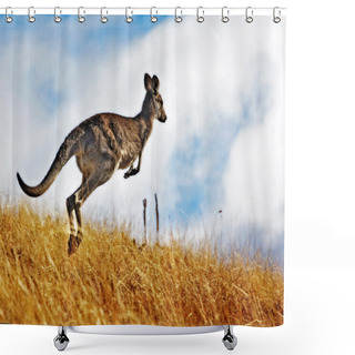 Personality  Australian Kangaroo, Roaming Free In The Outback Bush Shower Curtains