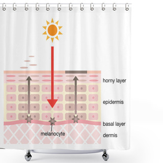 Personality  Infographic Skin Illustration. Skin Spot Mechanism Shower Curtains