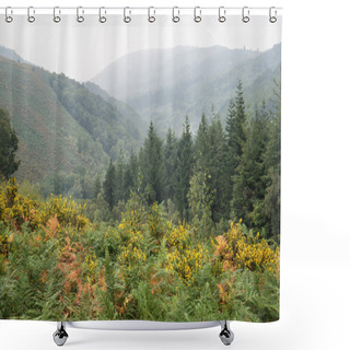 Personality  Autumn Landscape Over Foggy Dartmoor National Park In England Shower Curtains