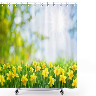Personality  Spring Easter Background Shower Curtains