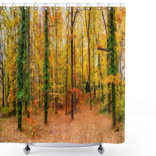 Personality  Panoramic View Of Deciduous Forest At Golden Autumn In Germany Shower Curtains