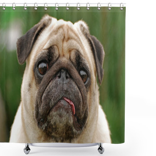 Personality  Pug Shower Curtains